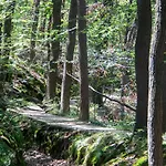 Js Feriendomizile: Nest Apartment