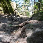 Js Feriendomizile: Nest Apartment