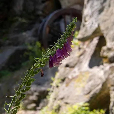 Apartamento Js Feriendomizile: Nest *