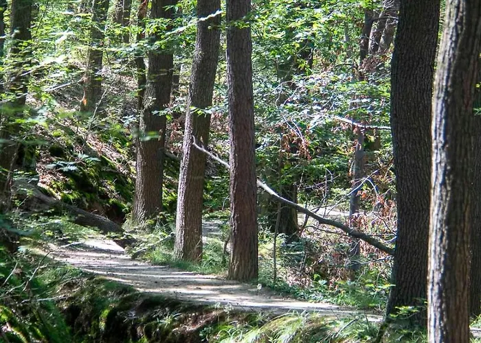 Js Feriendomizile: Nest Apartamento