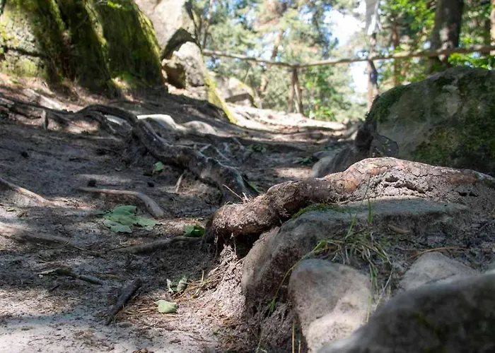 Js Feriendomizile: Nest Apartamento