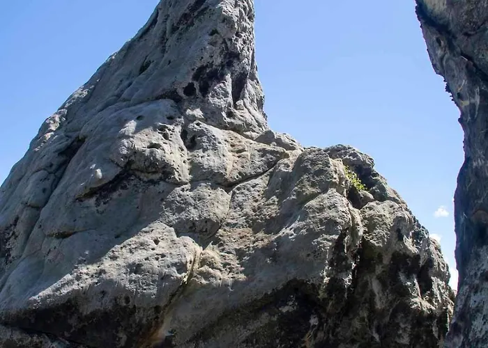 Js Feriendomizile: Nest *